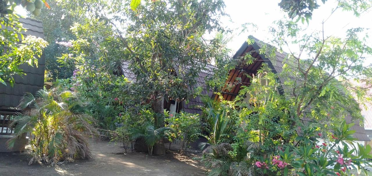 Hello Lumbung Homestay Gili Air Eksteriør billede